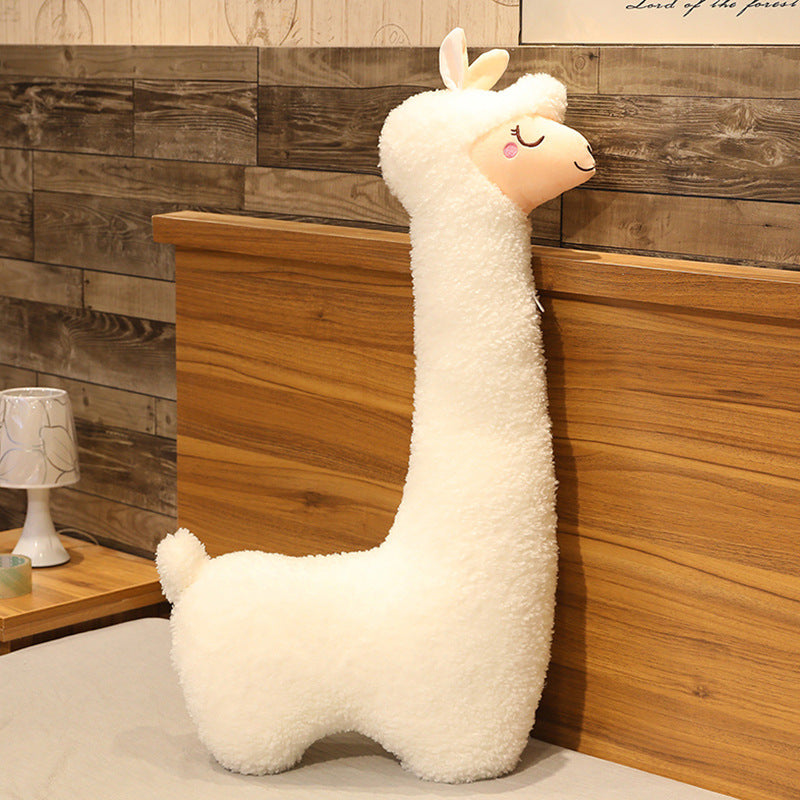 Cuddly Alpaca Pal
